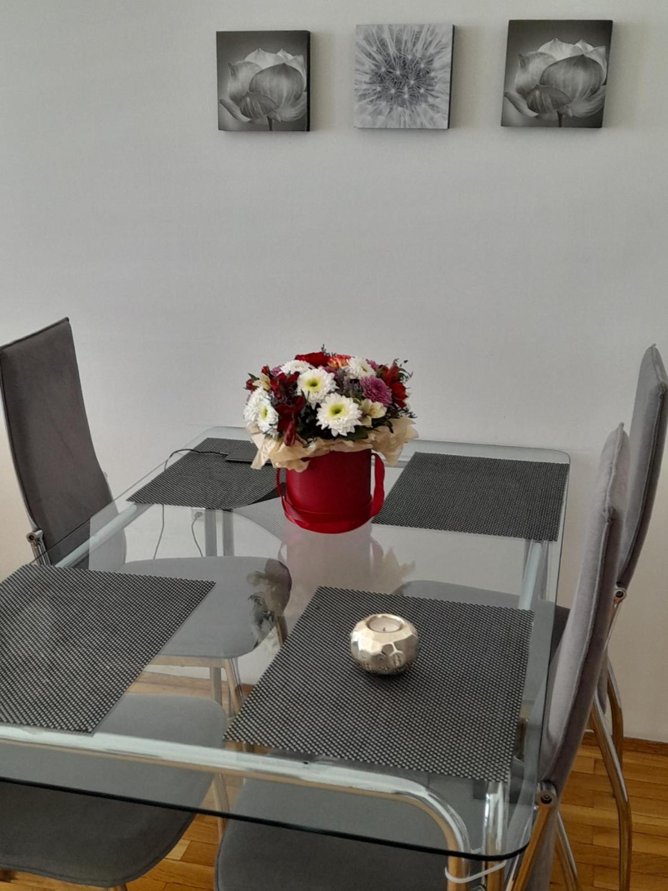 Ars Vip Apartment Novi Sad Exterior photo